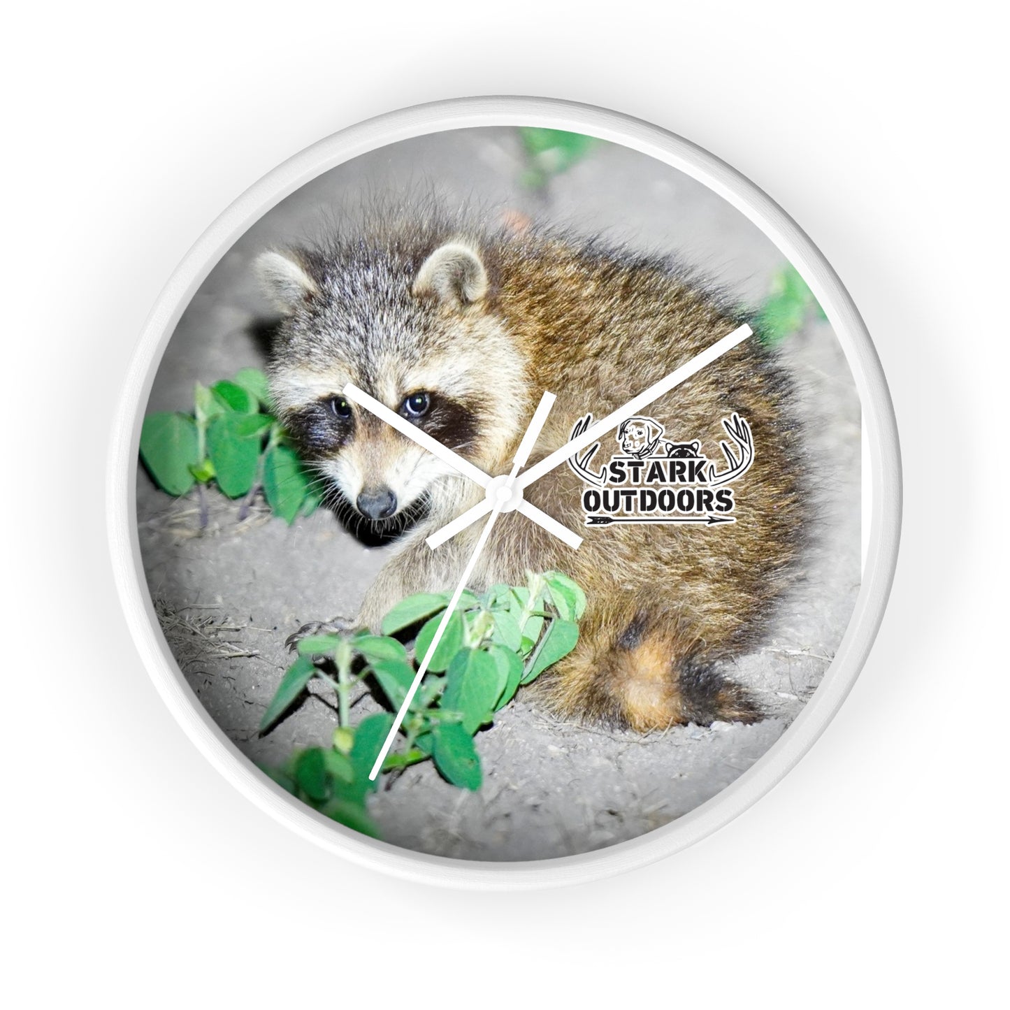 Stark Outdoors Raccoon Wall Clock