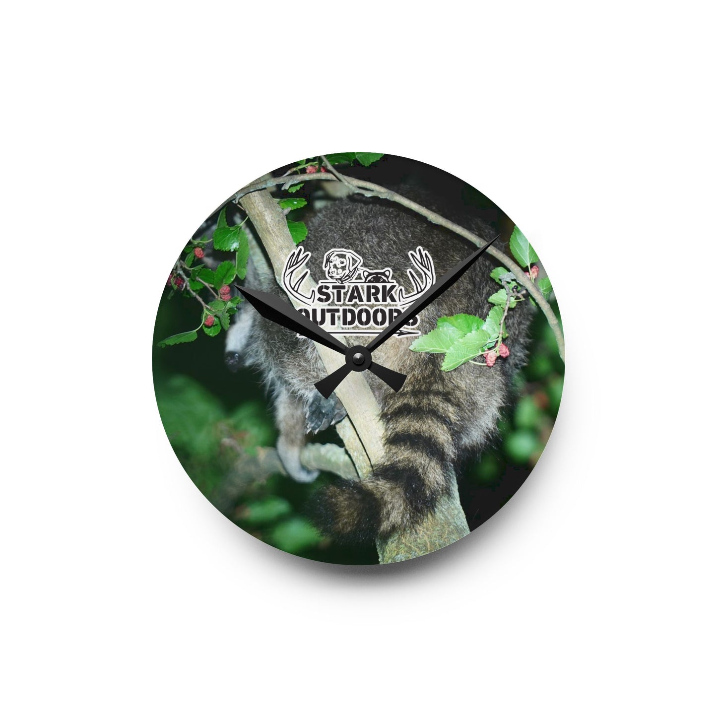 Stark Outdoors Square Raccoon Acrylic Wall Clock