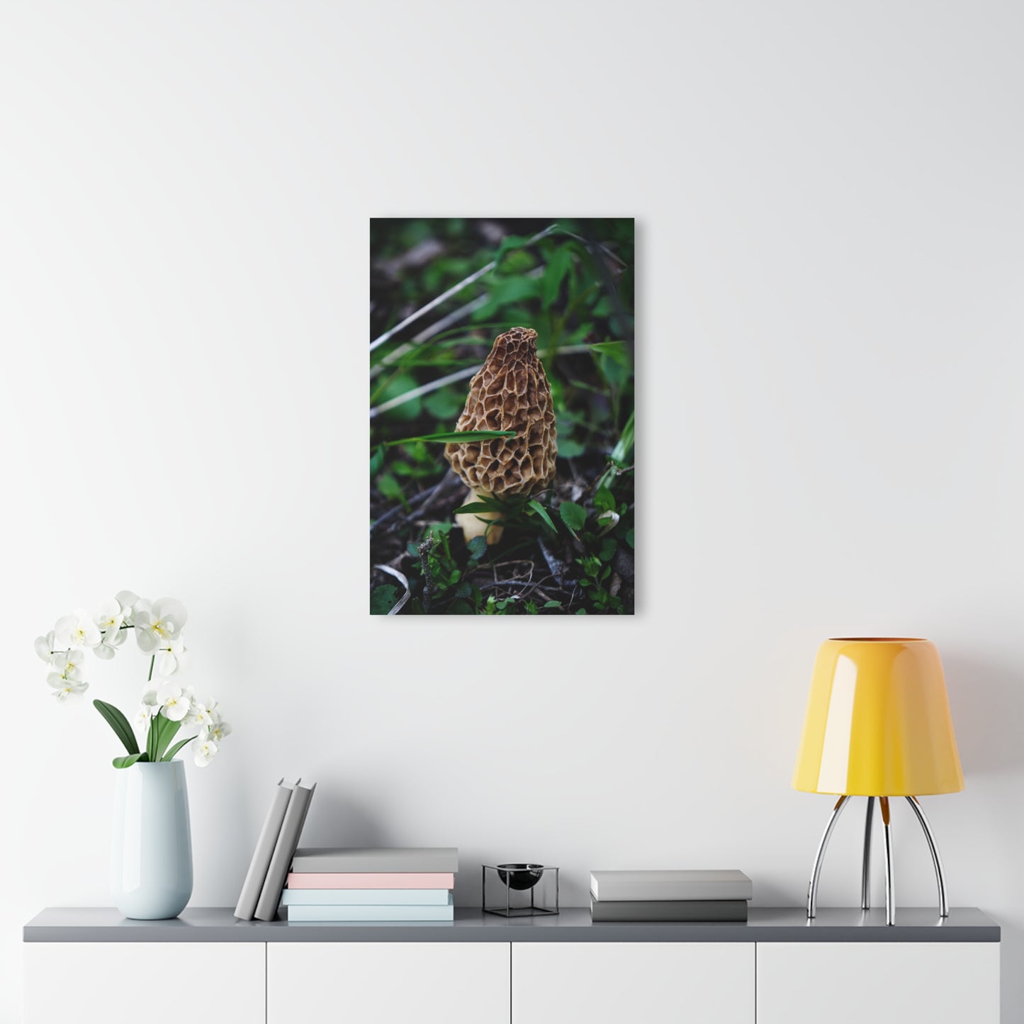 Morel Mushroom Acrylic Prints (French Cleat Hanging)