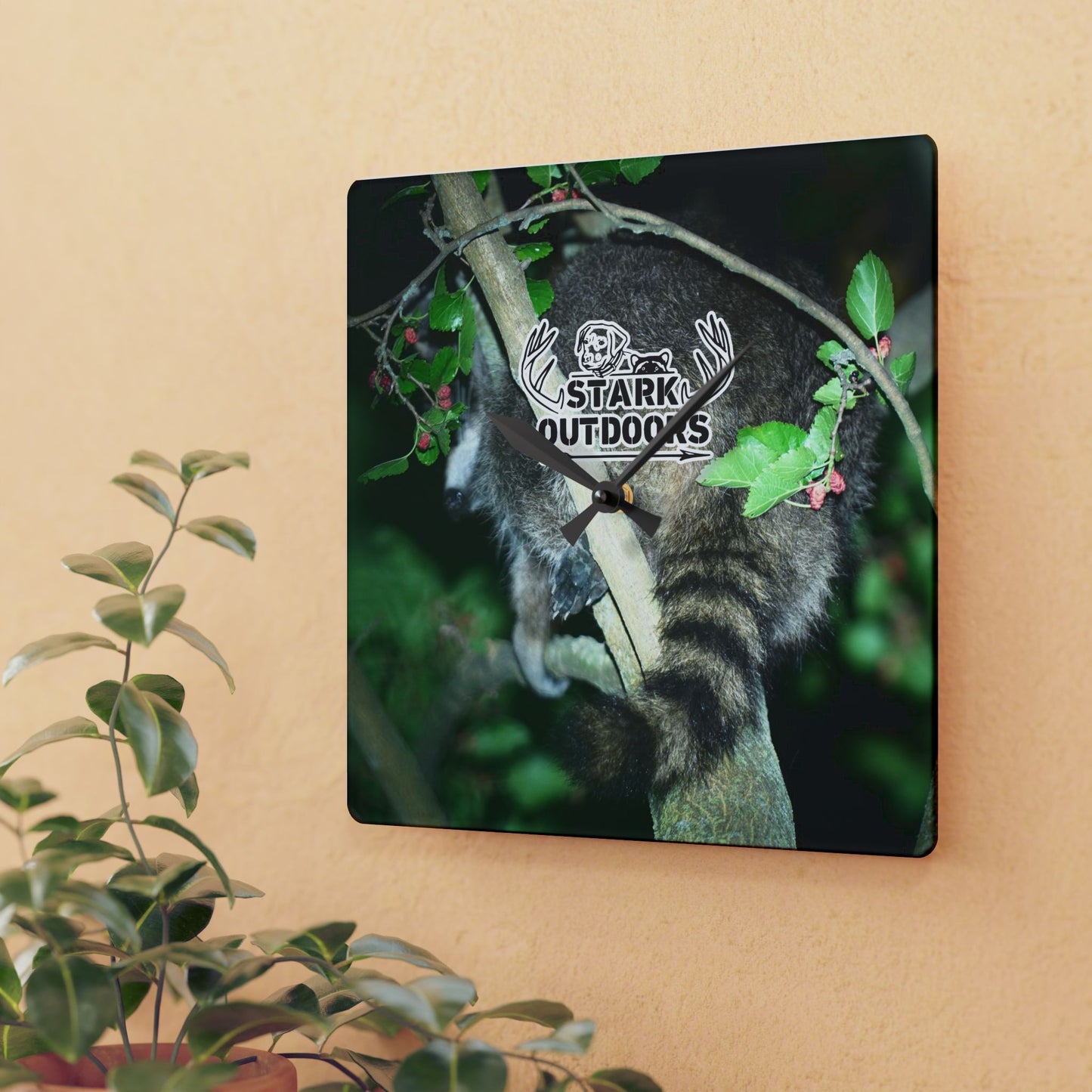 Stark Outdoors Square Raccoon Acrylic Wall Clock